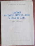 Anatomia sistemului nervos la cobai si caile de acces