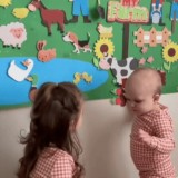 Jucărie Educațională Montessori Animale de Fermă din P&acirc;slă
