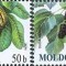 MOLDOVA 2009, Fructe, serie neuzata, MNH