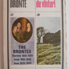 La rascruce de vanturi - Emily Bronte