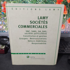 Lamy Societes commerciales, Mestre și Velardocchio, Paris 2006, 132