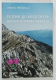 FLORA SI VEGETATIA MASIVULUI PIATRA CRAIULUI de SIMONA MIHAILESCU , 2001 *DEDICATIE