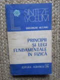 Principii si Legi Fundamentale in Fizica - Gh. Hutanu, Albatros 1983