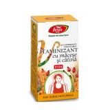 Vitaminizant cu macese si catina, 63 cpr, FARES