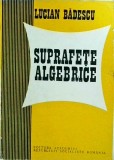 Lucian Badescu - Suprafete algebrice