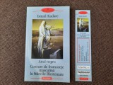 Ismail Kadare - Anul negru. Concurs de frumusete masculina la Stancile BlestemAT