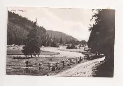 CA20 -Carte Postala- Valea Sebesului, Vedere, necirculata foto