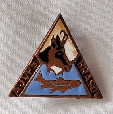BRASOV - AJVPS - RSR, anii 1970, Insigna Vanatoare si Pescuit - piesa superba, rara foto