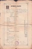 A3346N Testimoniu scolastic al lui Romulus Mioc (viitor primar Petroșani, prefect județ Hunedoara), 1904, Brașov, semnat olograf Virgil Onițiu