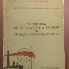 TEHNOLOGIA DE EXPLOATARE A FAGULUI IN REPUBLICA SOCIALISTA ROMANIA