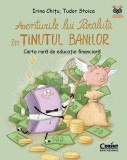 Aventurile lui Părăluță &icirc;n Ținutul Banilor - Irina Chițu, Tudor Stoica