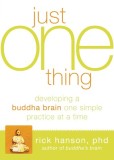 The Just One Thing: Effective Strategies to Get You Where You Need to Go