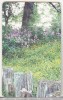 Bnk card Cartela telefonica 2002 - Primavara 2 - RO-ROM-0142