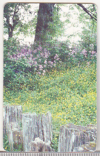 bnk card Cartela telefonica 2002 - Primavara 2 - RO-ROM-0142