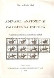 Adevarul Anatomic si Valoarea Sa Estetica - Tiberiu Liviu Vlad, Album Pictura, Artes Iasi 2001, 220 Pagini