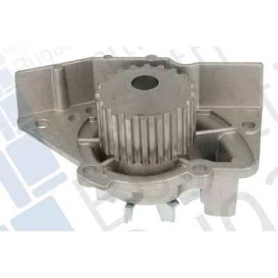 Pompa apa Bugatti PA5501 foto