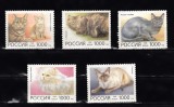 A10 S1 8 - Timbre foarte vechi - Rusia - pisici - 1996