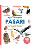Bebe invata. Marea carte despre pasari. 40 de sunete de pasari