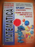 HOPCT MATEMATICA CL V A SUPLIMENT VIORICA SI C-TIN CARBUNARU -328 PAG