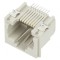 Conector RJ45 Modular, Gri