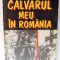 CALVARUL MEU IN ROMANIA de KURT SCHIEBOLDT , 1992