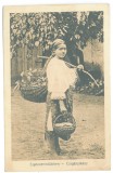 4694 - Sibiu, ETHNIC woman, Romania - old postcard - unused - 1917, Necirculata, Printata