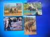 HOPCT LOT NR 1032 ELEFANT/ELEFANTI--FAUNA -4 CARTI POSTALE-CIRCULATE, Circulata, Printata