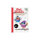 Warm Hearts Day: A Branches Book (Owl Diaries #5)