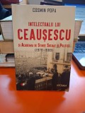 Intelectualii lui Ceaușescu și Academia de Științe Sociale și Politice (1970-1989) - Cosmin Popa