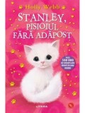 Stanley, pisoiul fara adapost/Holly Webb