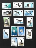 georgia pasari mnh