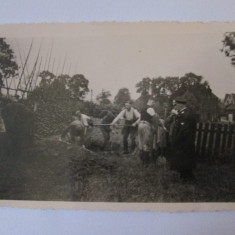 Fotografie colectie 88 x 63 mm cu militari nazisti la munca campului 1941