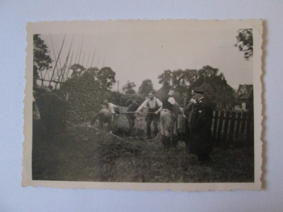 Fotografie colectie 88 x 63 mm cu militari nazisti la munca campului 1941 foto