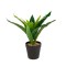 Planta artificiala decorativa - Copac de sofran verde - 20 x 8,5 cm Best CarHome