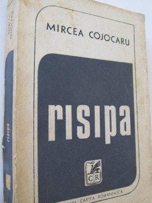 Risipa - Mircea Cojocaru foto