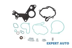 Set garnituri pompa inalta presiune Volkswagen Passat B6(2006-2009) foto