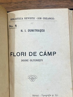 N. I .Dumitrascu - flori de camp foto