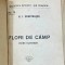 N. I .Dumitrascu - flori de camp