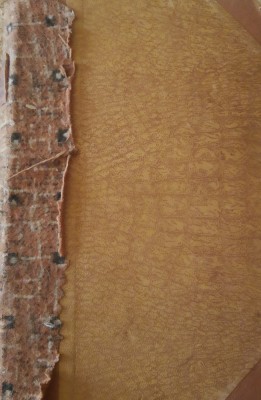 Neamul cotofanesc - D. V. Barnoschi foto
