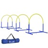 PawHut Echipament de Agilitate pentru C&acirc;ini, Set Portabil din 4 Piese pentru Antrenament, 95x88x64 cm, Albastru | Aosom Romania