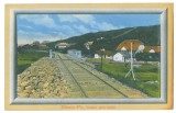 683 - SLANIC PRAHOVA, Railway, Bridge, RAMA, Romania - old postcard - unused, Necirculata, Printata