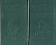 Irving Stone - Agonie și extaz ( 2 vol. )