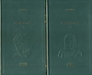 Irving Stone - Agonie și extaz ( 2 vol. )