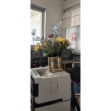 Planta Artificiala #Han