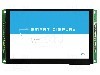 Afisaj TFT, grafic, rezolutie 800x480, 5", 5V DC, RAYSTAR OPTRONICS - RL0F00050000FGAAASA01