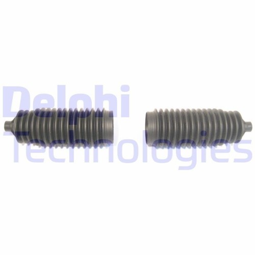 Delphi Ansamblu burduf, directie