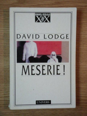 MESERIE de DAVID LODGE foto