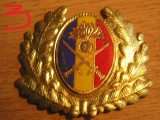 QW14 - Emblema militara / cuc - uscat - anii 1990 - piesa de colectie