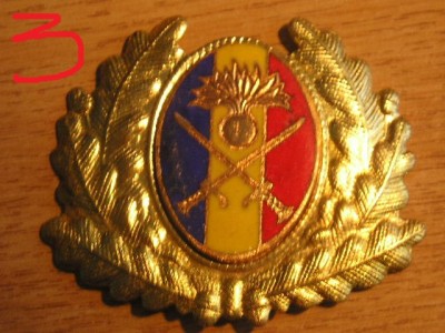 QW14 - Emblema militara / cuc - uscat - anii 1990 - piesa de colectie foto