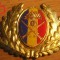 QW14 - Emblema militara / cuc - uscat - anii 1990 - piesa de colectie